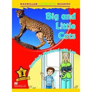 Big and Little Cats - Macmillan - Paradidático ISBN 9780230469211