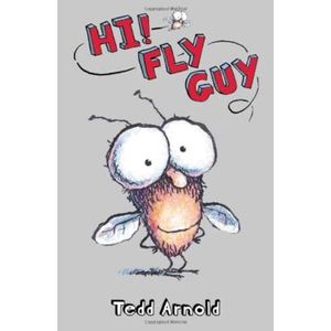 Hi Fly Guy - Scholastic - paradidático ISBN 9780439853118