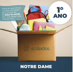 notre1º-ano