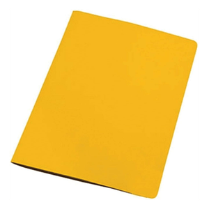 PASTA C/TRILHO PLASTICO CARTAO DUPLO R.1010S AMARELO