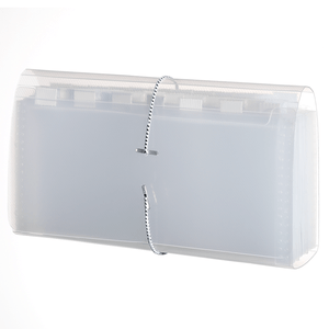 PASTA SANFONADA PORTA CHEQUE 31 DIV SCE31 CRISTAL