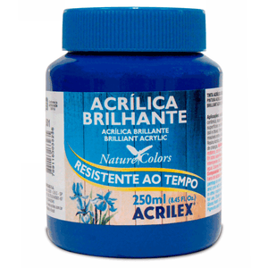 TINTA ACRILICA BRILHANTE 250ML