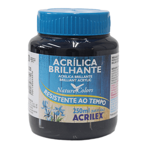 TINTA ACRILICA BRILHANTE 250ML
