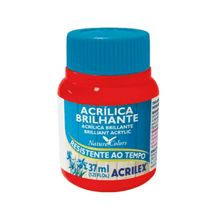 TINTA ACRILICA BRILHANTE 37ML