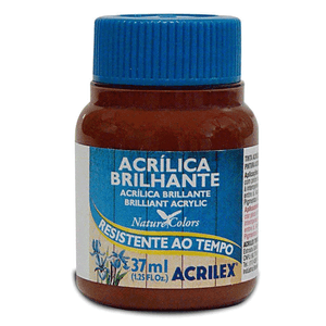 TINTA ACRILICA BRILHANTE 37ML