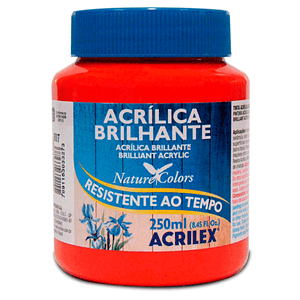 TINTA ACRILICA BRILHANTE 250ML