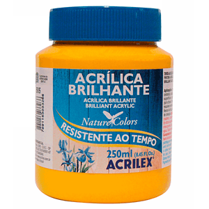 TINTA ACRILICA BRILHANTE 250ML