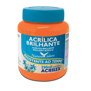 TINTA ACRILICA BRILHANTE 250ML