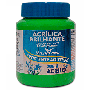 TINTA ACRILICA BRILHANTE 250ML