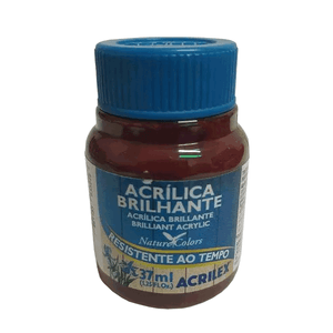 TINTA ACRILICA BRILHANTE 37ML