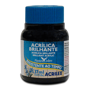 TINTA ACRILICA BRILHANTE 37ML
