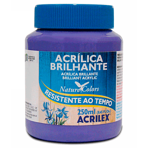 TINTA ACRILICA BRILHANTE 250ML