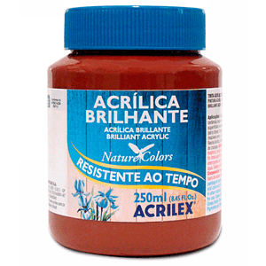 TINTA ACRILICA BRILHANTE 250ML