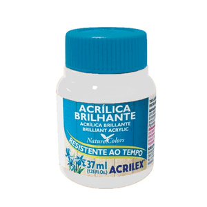 TINTA ACRILICA BRILHANTE 37ML