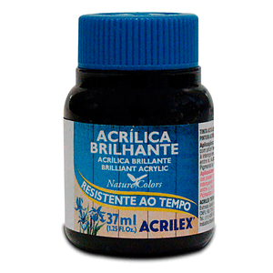 TINTA ACRILICA BRILHANTE 37ML