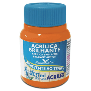 TINTA ACRILICA BRILHANTE 37ML