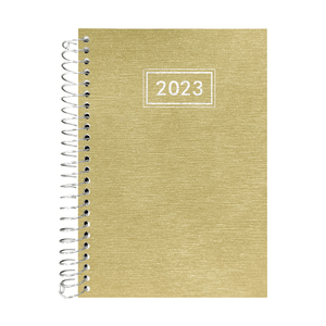 AGENDA ESP EXECUTIVA C/D 14X20 SCRATCH OURO REGEN-0893