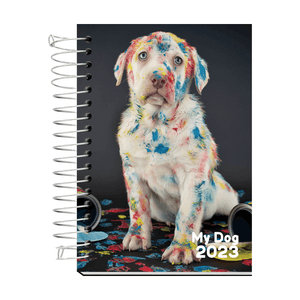 AGENDA ESPIRAL C/D 168FLS MY DOG R.MD01A