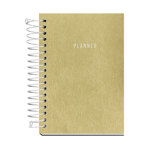 AGENDA ESPIRAL C/D 168FLS SCRATCH PLANNER OURO