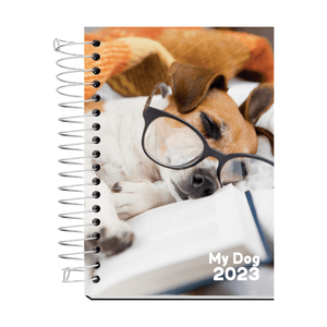 AGENDA ESPIRAL C/D 168FLS MY DOG R.MD04A