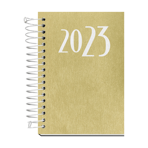 AGENDA ESPIRAL ANUAL C/D 168FLS SCRATCH OURO R.4035
