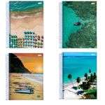 caderno-universitario-capa-dura-espiral-1-materia-96-fls-200x275-brasilidade-pacote-com-4-unidades-jandaia-08136-55-097a0273.