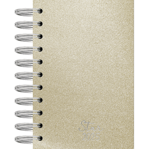 AGENDA ESPIRAL ANUAL C/D 160FLS STAR