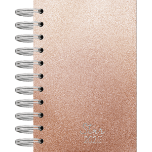 AGENDA ESPIRAL ANUAL C/D 160FLS STAR