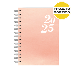 AGENDA ESP EXECUTIVA C/D 14X20 SINGLE FEM R.RGEN-897SF