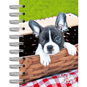 AGENDA ESPIRAL C/D 160FLS MY DOG