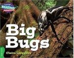 Big Bugs-1758645716423