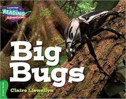 Big Bugs-1758645716423