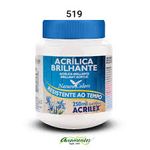 Tinta Acrílica Acrilex Brilhante 250ml Branca-1762802349549